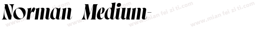 Norman   Medium字体转换